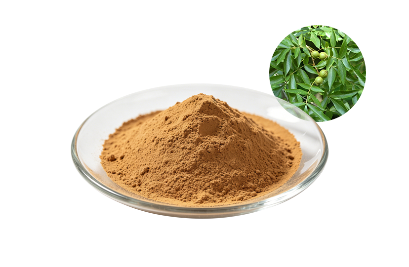 Soapnut Extract